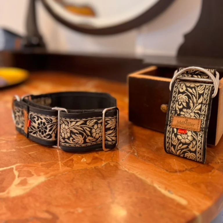 Collares para perro personalizados